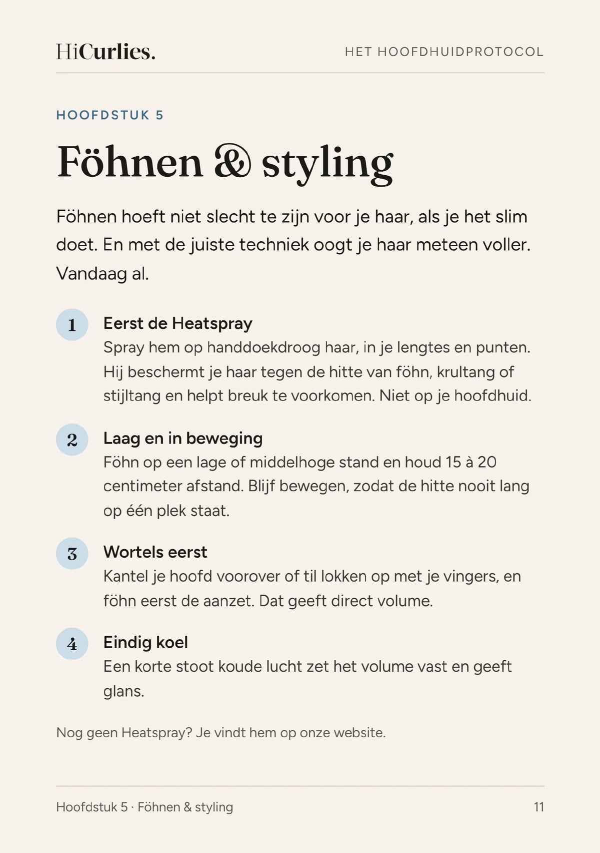 Het Hoofdhuidprotocol, pagina 11